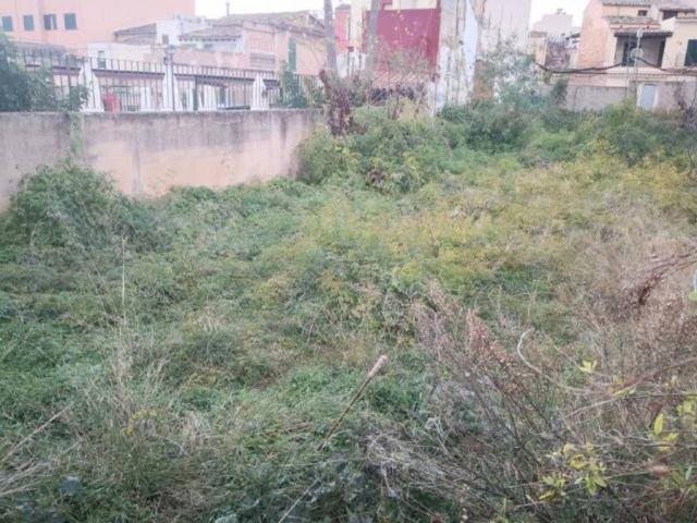 Terreno en venta en Serra de Tramuntana, Baleares