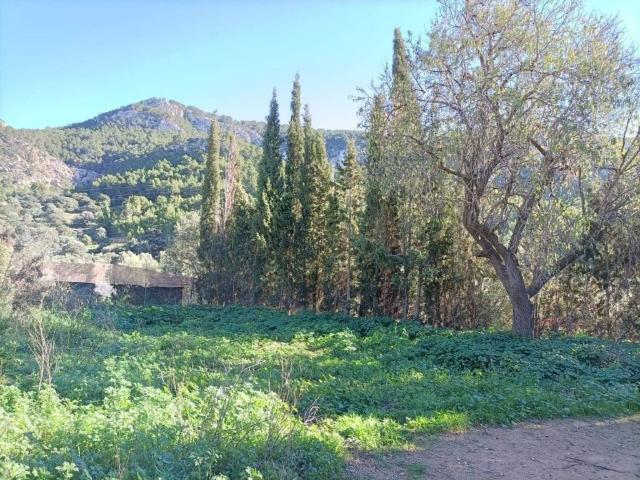 Terreno en venta en Serra de Tramuntana, Baleares