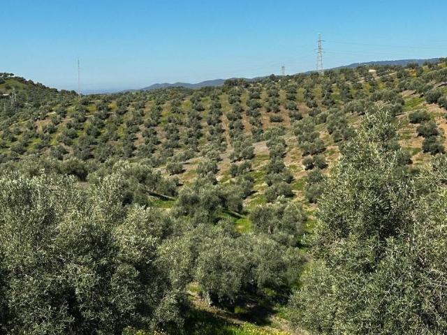 Terreno en venta en Andújar, Andalucía