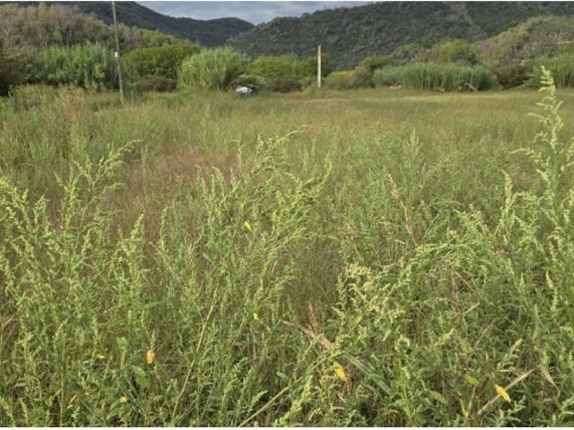 Terreno en venta en la Selva, Catalunya
