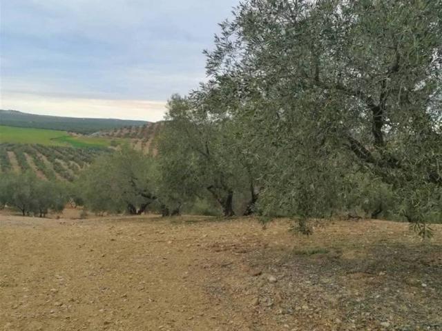Terreno en venta en Antequera, Andalucía