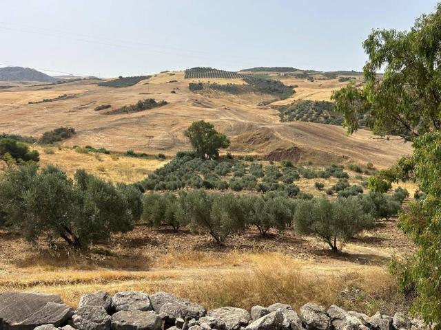 Terreno en venta en Antequera, Andalucía