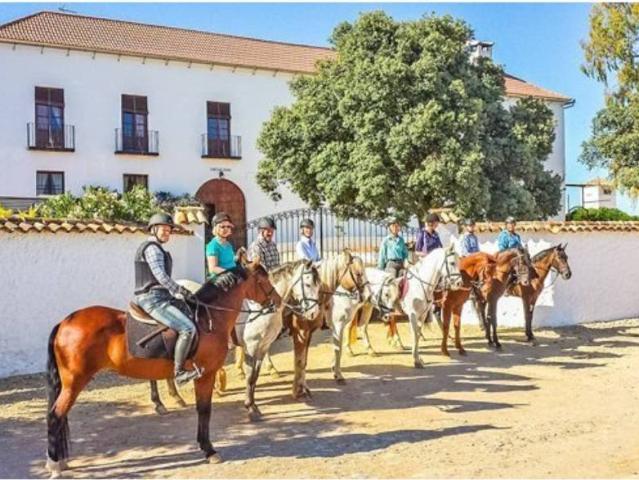 Terreno en venta en Antequera, Andalucía