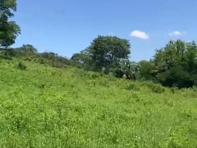 Terreno en venta en Aquismón