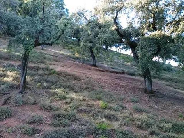 Terreno en venta en Sierra de Huelva, Andalucía