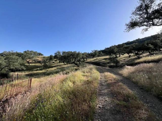 Terreno en venta en Sierra de Huelva, Andalucía