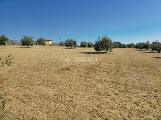 Terreno en venta en Arahal, Andalucía