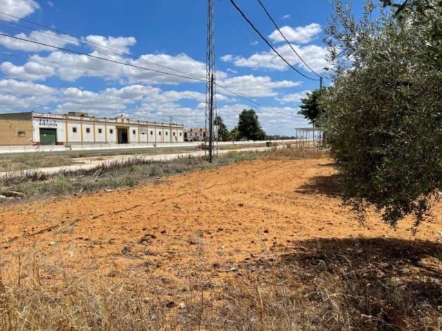 Terreno en venta en Arahal, Andalucía