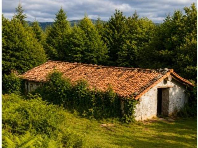 Terreno en venta en Baztan-Bidasoa, Navarra