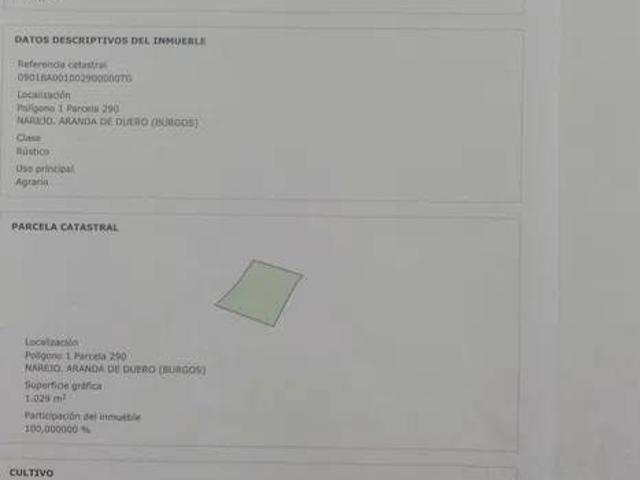 Terreno en venta en Aranda De Duero, Castilla y León
