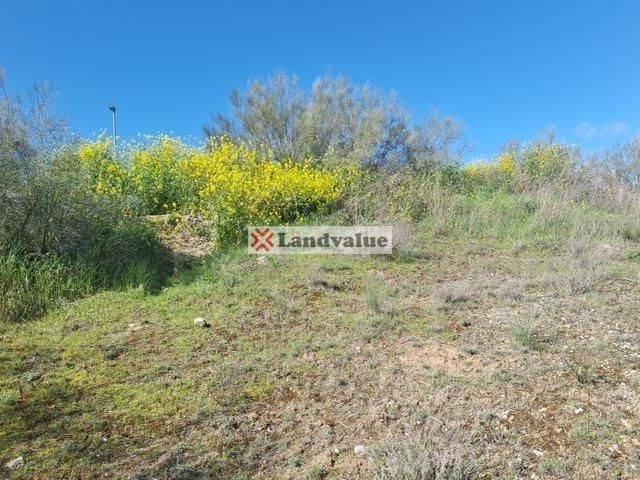 Terreno en venta en Valdelascasas, Aranjuez
