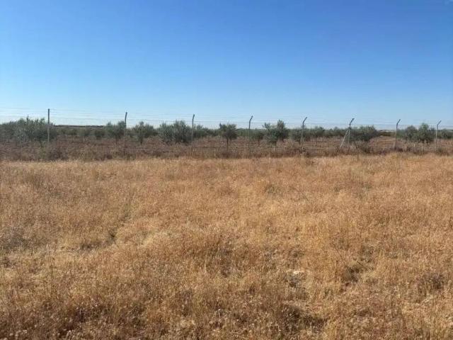 Terreno en venta en Plaza de Toros, Aranjuez