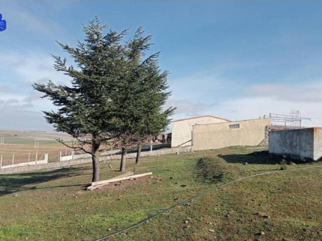 Terreno en venta en Arapiles, Castilla y León