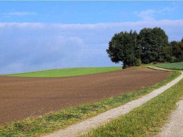 Terreno en venta en Arapiles, Castilla y León