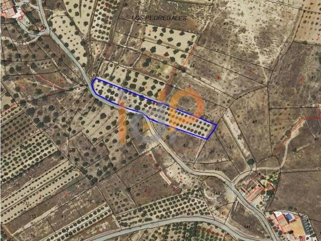 Terreno en venta en Valle del Almanzora, Andalucía