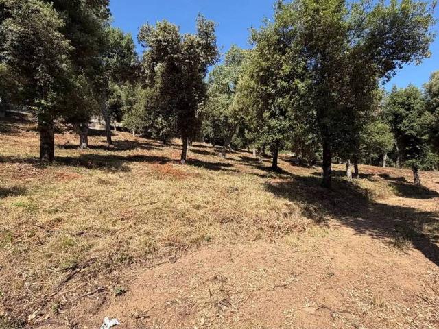 Terreno en venta en la Selva, Catalunya