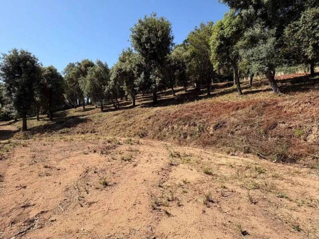 Terreno en venta en Arbúcies, Girona