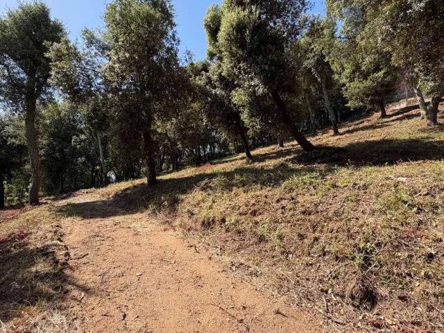 Terreno en venta en la Selva, Catalunya