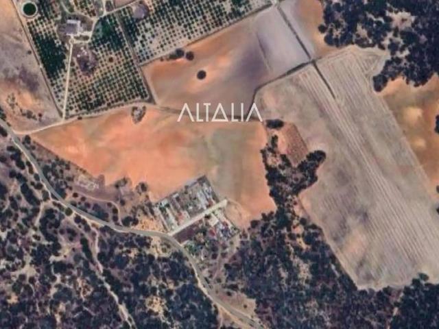 Terreno en venta en Arcas Del Villar, Castilla-La Mancha