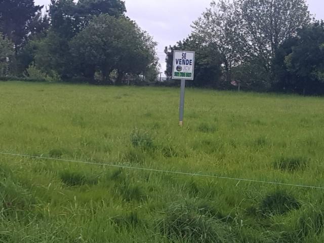 Terreno en venta en Boimorto