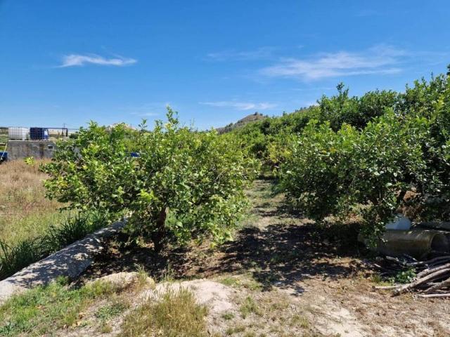 Terreno en venta en Valle de Ricote, Murcia