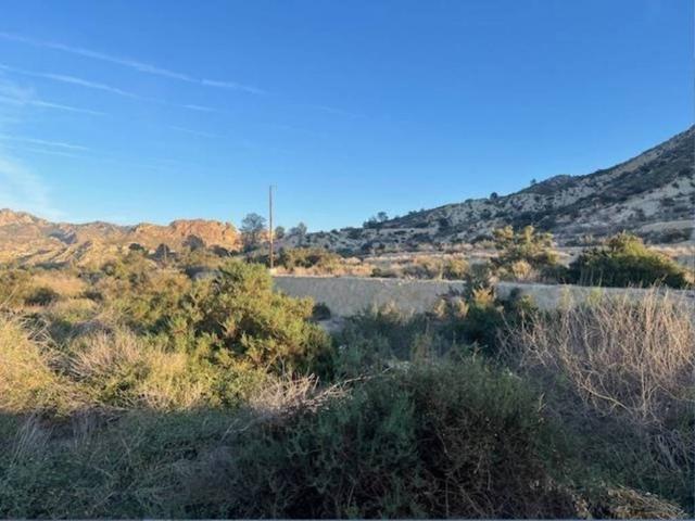 Terreno en venta en Valle de Ricote, Murcia
