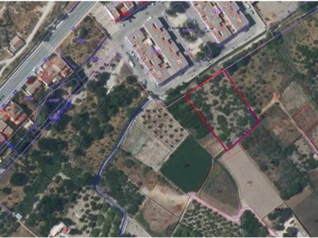 Terreno en venta en Valle de Ricote, Murcia