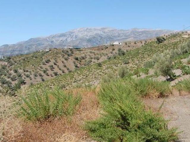 Terreno en venta en Árchez Terreno en venta en Árchez