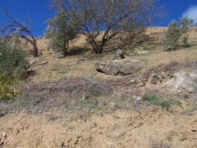 Terreno en venta en La Axarquía, Andalucía