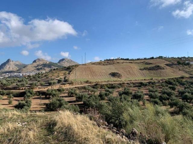 Terreno en venta en Nororma, Andalucía
