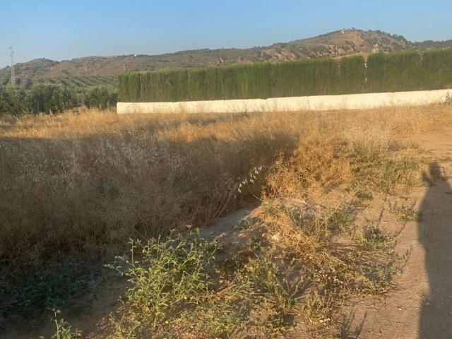 Terreno en venta en Archidona