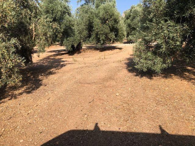 Terreno en venta en Archidona