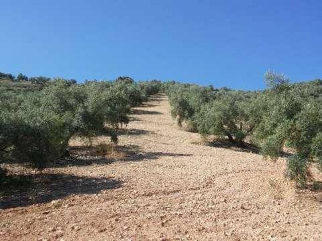 Terreno en venta en Archidona