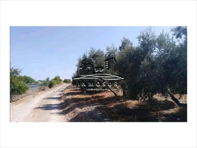 Terreno en venta en Archidona