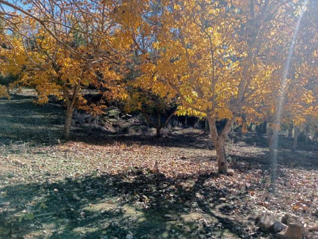 Terreno en venta en Archidona
