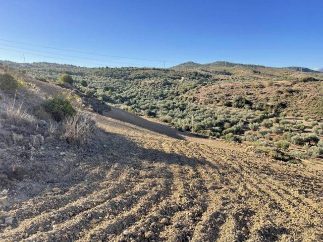 Terreno en venta en Archidona
