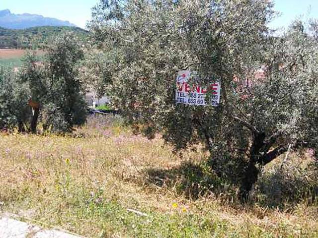 Terreno en venta en Archidona
