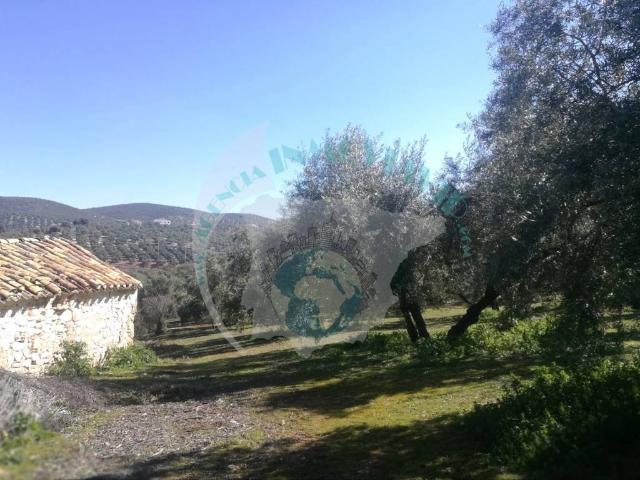 Terreno en venta en Archidona