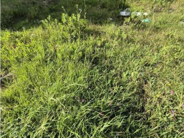 Terreno en venta en Sierra de Cádiz, Andalucía
