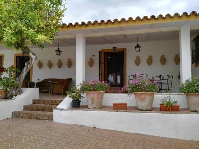 Terreno en venta en Sierra de Cádiz, Andalucía