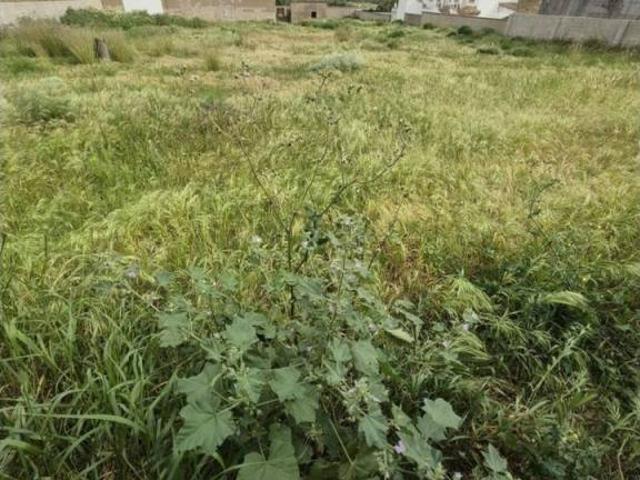 Terreno en venta en Sierra de Cádiz, Andalucía