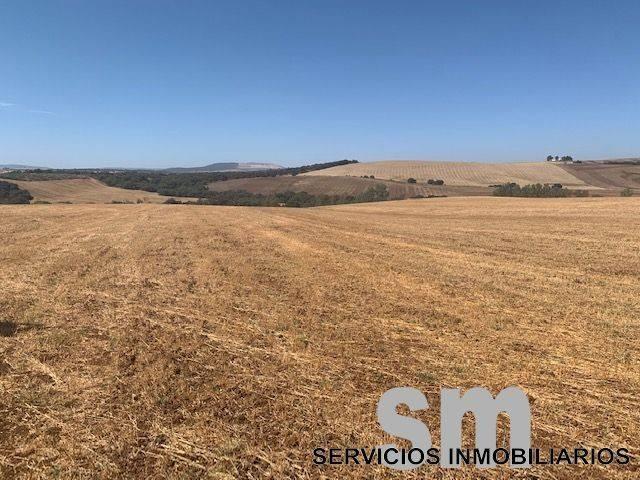 Terreno en venta en Sierra de Cádiz, Andalucía
