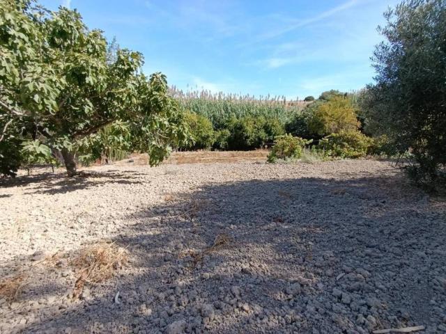 Terreno en venta en Sierra de Cádiz, Andalucía