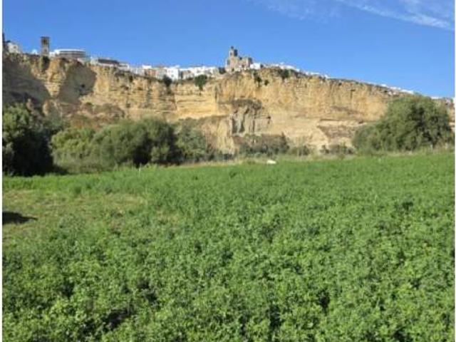Terreno en venta en Sierra de Cádiz, Andalucía