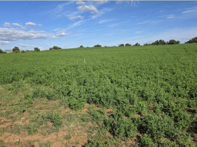 Terreno en venta en Sierra de Cádiz, Andalucía