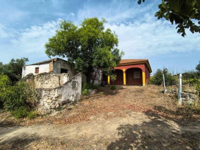 Terreno en venta en Sierra de Cádiz, Andalucía