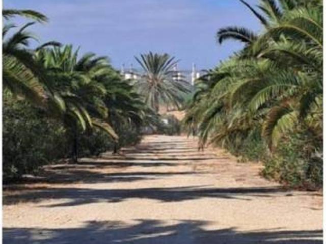 Terreno en venta en Sierra de Cádiz, Andalucía