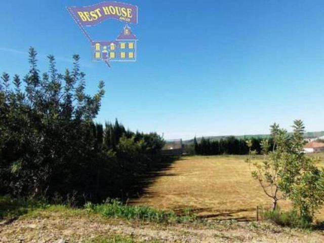 Terreno en venta en Sierra de Cádiz, Andalucía