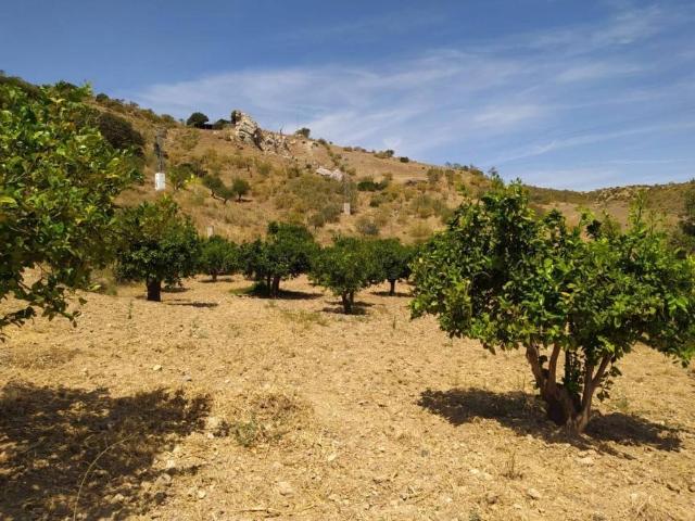 Terreno en venta en Guadalteba, Andalucía