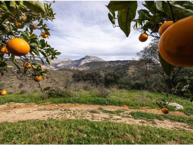 Terreno en venta en Guadalteba, Andalucía